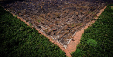 Partidos pedem execução efetiva do plano de prevenção ao desmatamento na Amazônia pela União